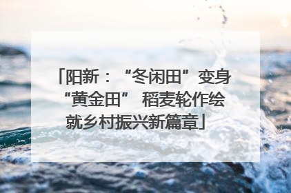 阳新：“冬闲田”变身“黄金田” 稻麦轮作绘就乡村振兴新篇章