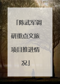 陈武军调研重点文旅项目推进情况