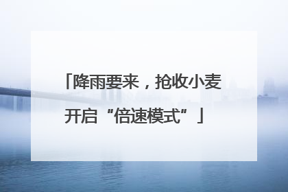 降雨要来，抢收小麦开启“倍速模式”