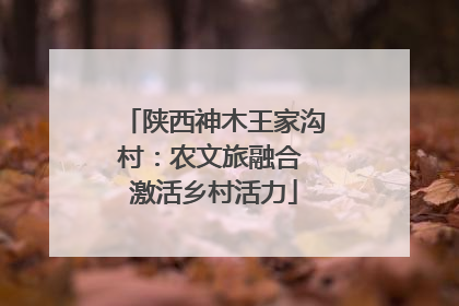 陕西神木王家沟村：农文旅融合 激活乡村活力