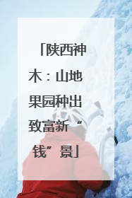 陕西神木：山地果园种出致富新“钱”景