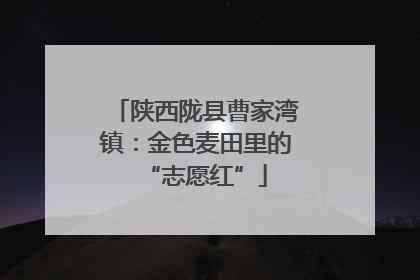 陕西陇县曹家湾镇：金色麦田里的“志愿红”