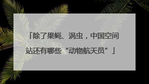 除了果蝇、涡虫，中国空间站还有哪些“动物航天员”