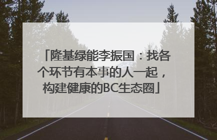 隆基绿能李振国：找各个环节有本事的人一起，构建健康的BC生态圈