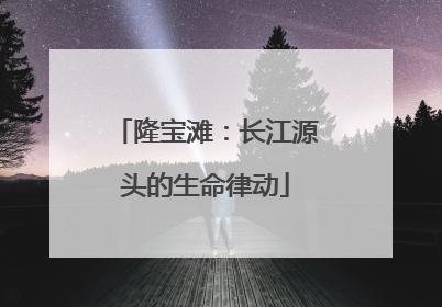 隆宝滩：长江源头的生命律动