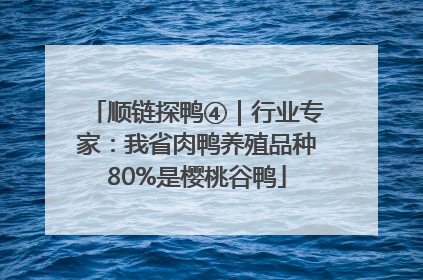 顺链探鸭④｜行业专家：我省肉鸭养殖品种80%是樱桃谷鸭