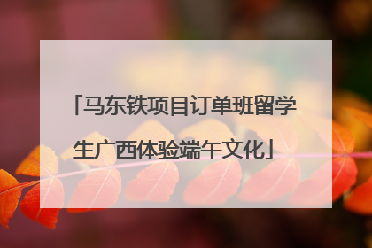 马东铁项目订单班留学生广西体验端午文化