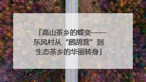 高山茶乡的蝶变——东风村从“鹧鸪营”到生态茶乡的华丽转身