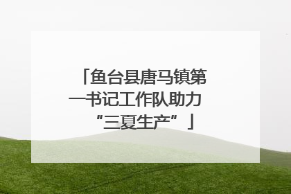 鱼台县唐马镇第一书记工作队助力“三夏生产”