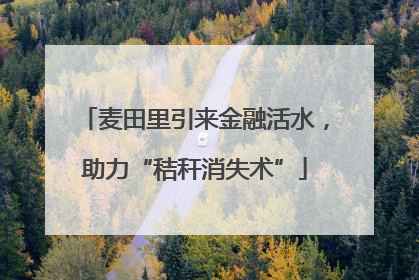 麦田里引来金融活水，助力“秸秆消失术”