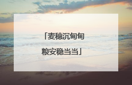 麦穗沉甸甸 粮安稳当当