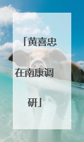 黄喜忠在南康调研