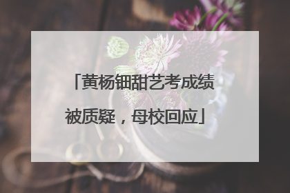 黄杨钿甜艺考成绩被质疑，母校回应