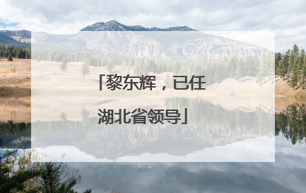 黎东辉，已任湖北省领导
