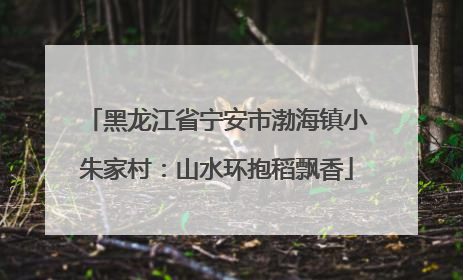 黑龙江省宁安市渤海镇小朱家村：山水环抱稻飘香