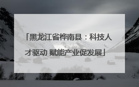 黑龙江省桦南县：科技人才驱动 赋能产业促发展