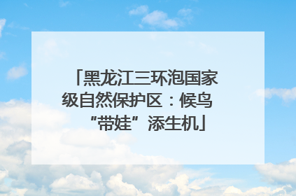 黑龙江三环泡国家级自然保护区：候鸟“带娃”添生机