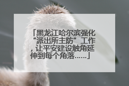 黑龙江哈尔滨强化“派出所主防”工作，让平安建设触角延伸到每个角落……