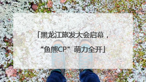 黑龙江旅发大会启幕，“鱼熊CP”萌力全开