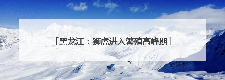 黑龙江：狮虎进入繁殖高峰期