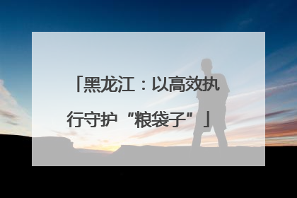 黑龙江：以高效执行守护“粮袋子”