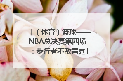 （体育）篮球——NBA总决赛第四场：步行者不敌雷霆