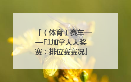 （体育）赛车——F1加拿大大奖赛：排位赛赛况