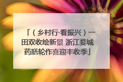 （乡村行·看振兴）一田双收绘新景 浙江婺城药膳轮作喜迎丰收季
