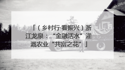 （乡村行·看振兴）浙江龙泉：“金融活水”灌溉农业“共富之花”