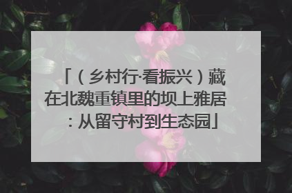 （乡村行·看振兴）藏在北魏重镇里的坝上雅居：从留守村到生态园