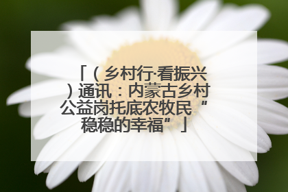 （乡村行·看振兴）通讯：内蒙古乡村公益岗托底农牧民“稳稳的幸福”