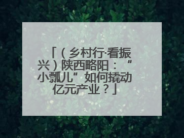 （乡村行·看振兴）陕西略阳：“小瓢儿”如何撬动亿元产业？
