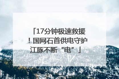 17分钟极速救援！国网石首供电守护江豚不断“电”