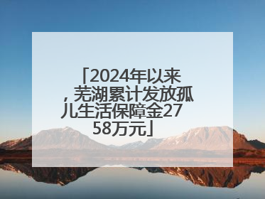 2024年以来，芜湖累计发放孤儿生活保障金2758万元