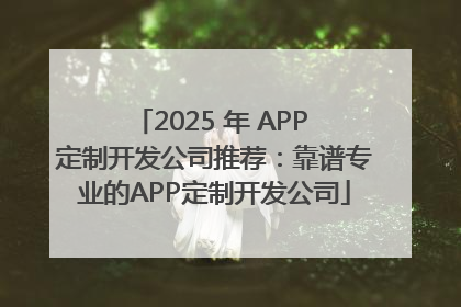 2025 年 APP 定制开发公司推荐：靠谱专业的APP定制开发公司