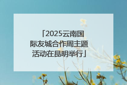 2025云南国际友城合作周主题活动在昆明举行