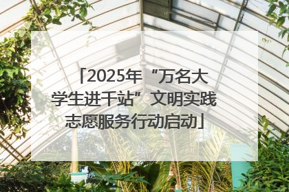 2025年“万名大学生进千站”文明实践志愿服务行动启动