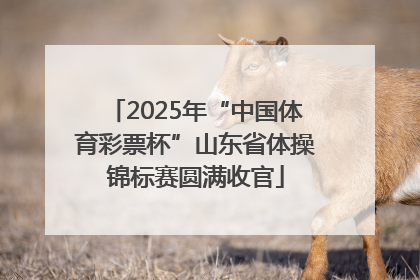 2025年“中国体育彩票杯”山东省体操锦标赛圆满收官