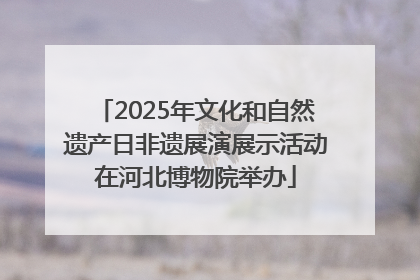 2025年文化和自然遗产日非遗展演展示活动在河北博物院举办