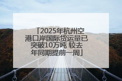 2025年杭州空港口岸国际货运量已突破10万吨 较去年同期提前一周