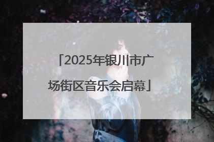 2025年银川市广场街区音乐会启幕