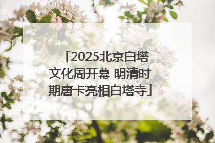 2025北京白塔文化周开幕 明清时期唐卡亮相白塔寺