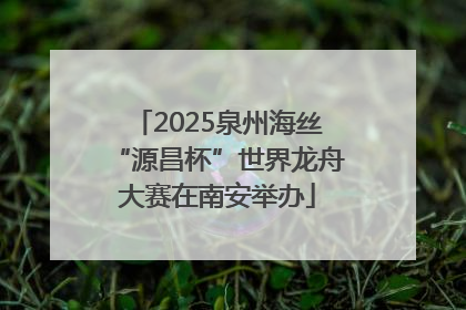2025泉州海丝“源昌杯”世界龙舟大赛在南安举办