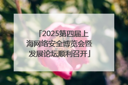 2025第四届上海网络安全博览会暨发展论坛顺利召开
