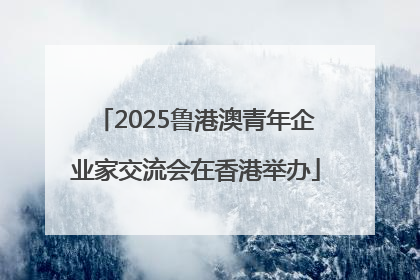 2025鲁港澳青年企业家交流会在香港举办