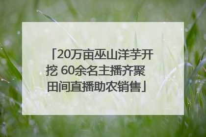 20万亩巫山洋芋开挖 60余名主播齐聚田间直播助农销售