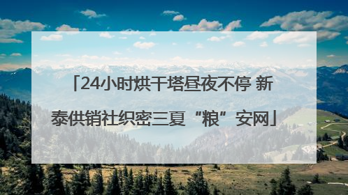24小时烘干塔昼夜不停 新泰供销社织密三夏“粮”安网