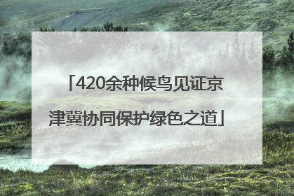 420余种候鸟见证京津冀协同保护绿色之道
