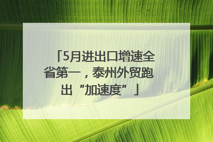 5月进出口增速全省第一，泰州外贸跑出“加速度”