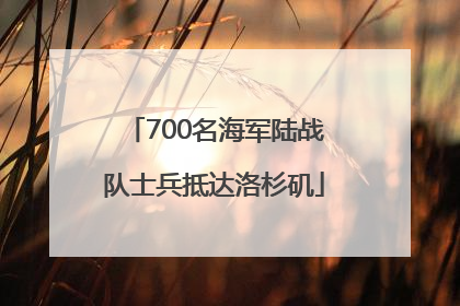 700名海军陆战队士兵抵达洛杉矶